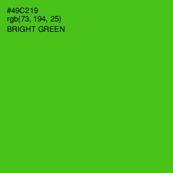 #49C219 - Bright Green Color Image